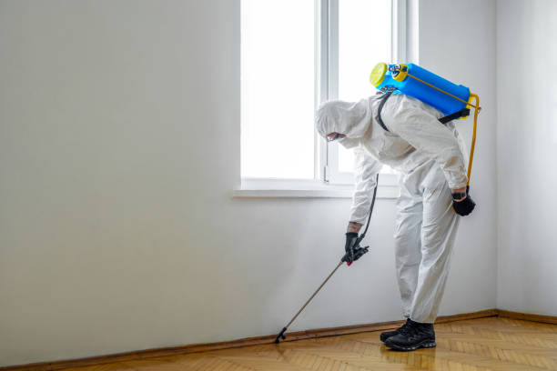 Best Rat Extermination Near Me  in Reading, MI