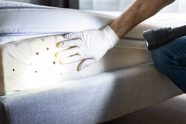Best Pest Control Near Me  in Reading, MI