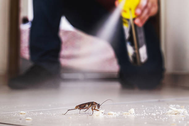 Best Cockroach Control Services  in Reading, MI