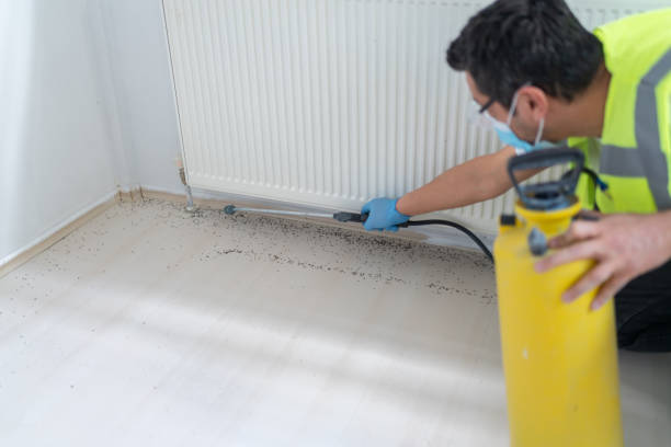 Best Commercial Pest Control Services  in Reading, MI